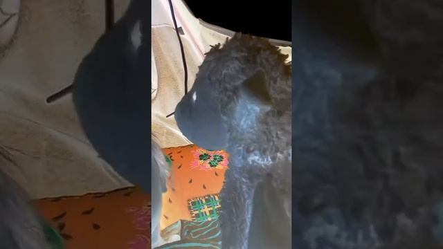 1 серии на острове по имини Ламоново смотреть онлайн