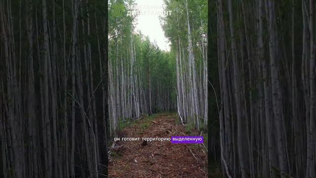 Коротко об Увильды Резиденс - новом коттеджном посёлке под Челябинском смотреть онлайн