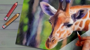 Гиперреалистичный жираф пастелью ✨🖌️ | Пошаговое рисование без слов | Арт-релакс для души