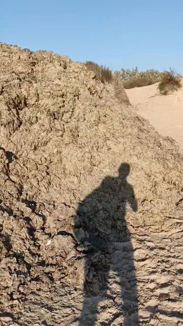 Продаю Анапские водоросли!=) #анапа #курорт #море #пляж смотреть онлайн