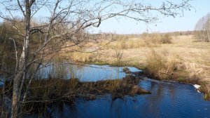 У реки