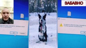 ржака все видео! приколы!
