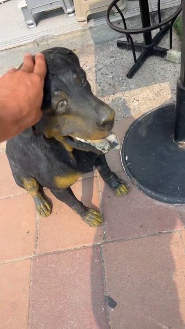 Это правда ? #thailand #рекомендации #отдых #wow смотреть онлайн