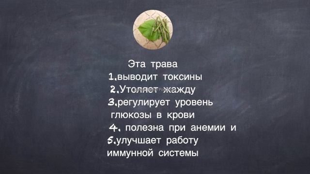 Детокс печени |  Детокс |  Аюрведа |  Доктор Варун Рам Радж #детокспечени #детокс