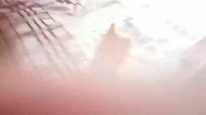 пять ночей с шариком 2 ночь