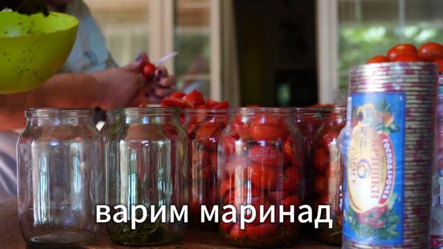 100 кг. помидоров и 3 рецепта. "Безотходное производство заготовок" или "Консервация по-одесски"