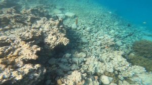 Море в King Tut Aqua Park Beach Resort 4*