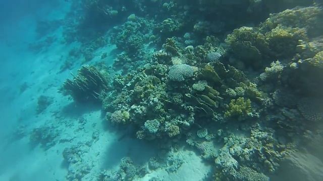 Дахаб. Египет. Июль 2013 смотреть онлайн