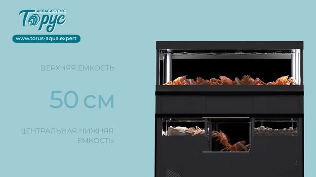 Двухъярусный видовой аквариум на 820 литров смотреть онлайн