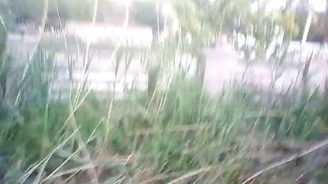 Спасаем корову смотреть онлайн