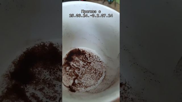 Прогноз недели.Гадание на кофейной гуще смотреть онлайн