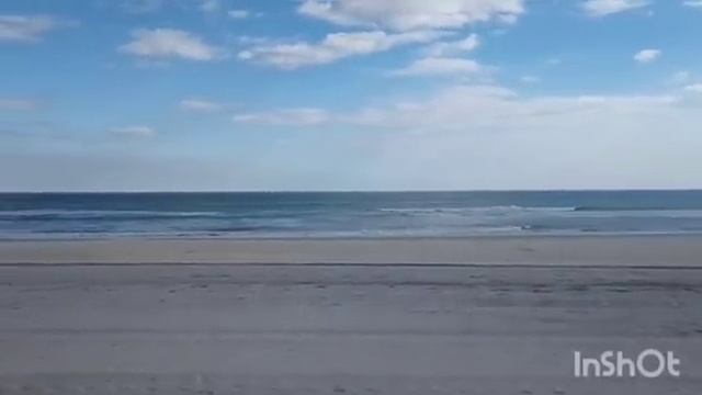 Лена Хеппи готовит для Родни. Кристина Мотиватор на свидании с Джоном. Жизнь на юге Англии и мужчин смотреть онлайн