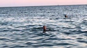 Дядя Фёдор в Сочи #такси #сочи #яндекстакси