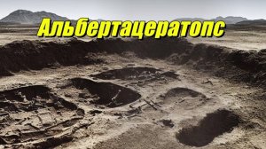 Альбертацератопс