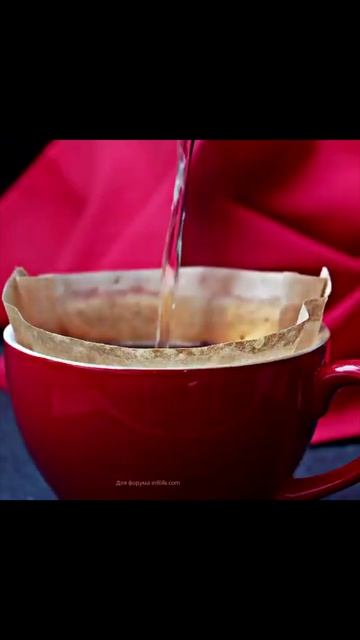 Кофе вреден или полезен? #Shorts смотреть онлайн