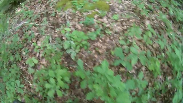 джубга день 2 видео 25 смотреть онлайн