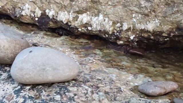 Путешествие по Крыму, море, чайки, красота, закат, ужин в кафе смотреть онлайн