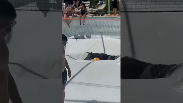 В Израиле человек пропал после вечеринки в бассейне. смотреть онлайн