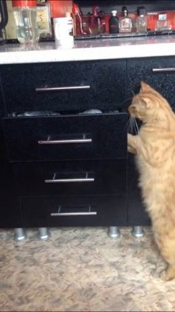 _Не помню куда я это положил?