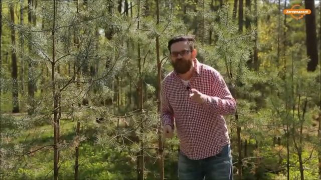 Вне Зоны на фестивале телеканала «Загородный» смотреть онлайн