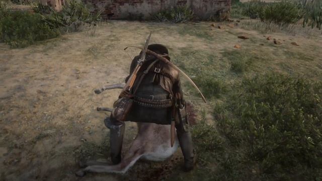 Пустынный толсторог самка (desert thick horned female) Red Dead Redemption 2 смотреть онлайн