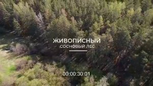 Косулино