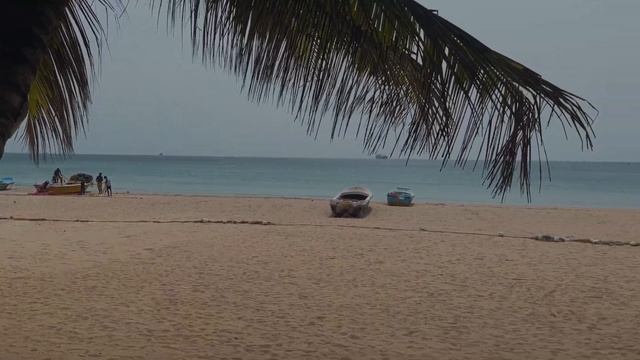 ОТДЫХ ИСПОРЧЕН | РАЗОЧАРОВАНИЕ В ШРИ-ЛАНКЕ | VLOG смотреть онлайн