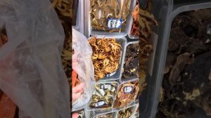 Лоо 2024. Рыбный магазин 🏬 #лоосочи