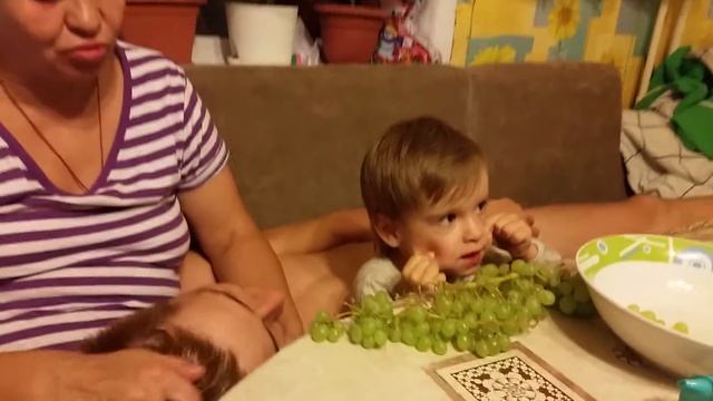 Кушаем виноград смотреть онлайн