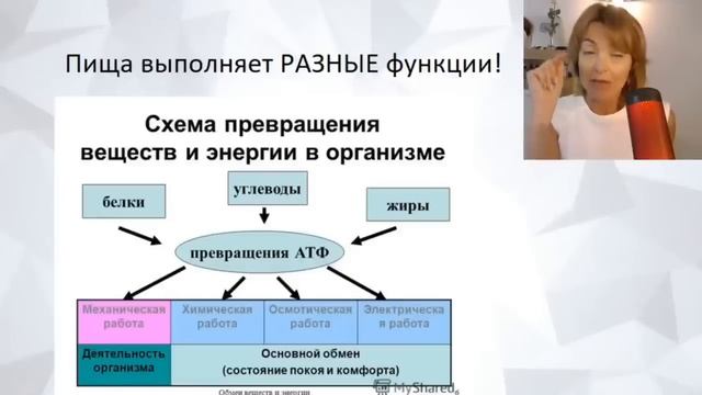 Как стройнеть, не считая калории. Елена Бахтина, врач гинеколог, основатель движения "Старости нет"