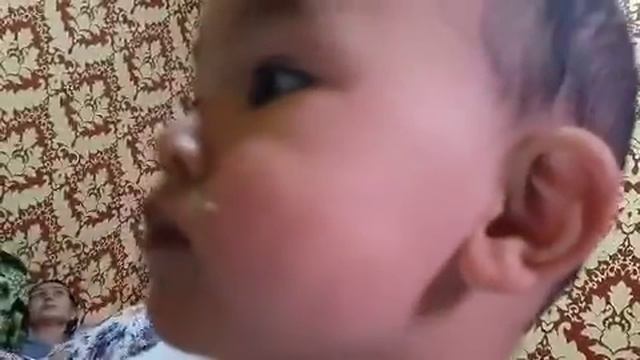 Гушначаи дадаш 2020 истаравшан смотреть онлайн