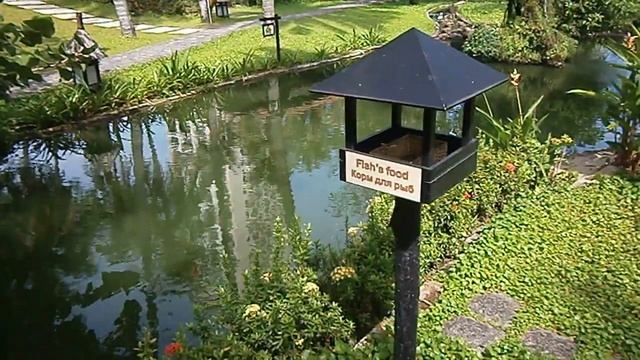 Отель Seahorse Resort(продолжение)PA140033 смотреть онлайн