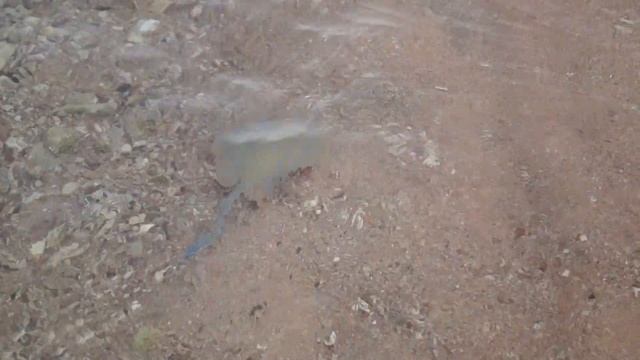 DESSOLE PYRAMISA SHARM EL SHEIKH RESORT скат смотреть онлайн