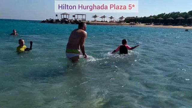 Hilton Hurghada Plaza 5* огляд пляжу червоного моря,фіолетові медузи,шикарне море бірюзове🌊🌴⛱️🏖️🏝️