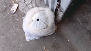 Как я зарабатываю лазая по мусоркам Москвы.ЧАСТЬ 127.