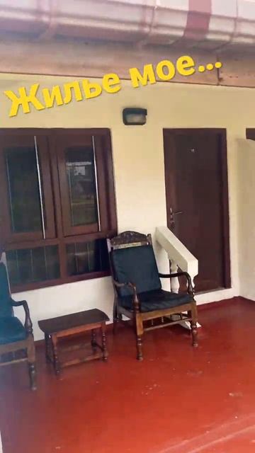 Шри Ланка. Панчакарма и жилье мое. #funny смотреть онлайн