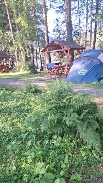 Алтай. Кемпинг Раздолье. Путешествие с кемпером