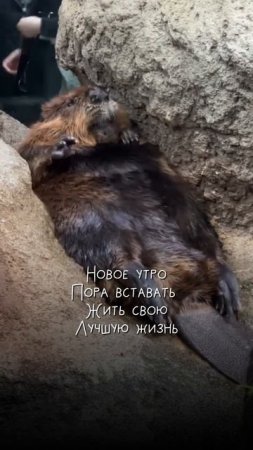 Было? 😅