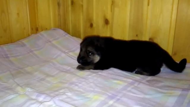 Без нитки зоненвельт м смотреть онлайн