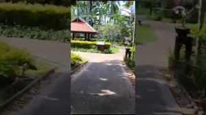 Обзор территории отеля Paradox Resort 5* Phuket