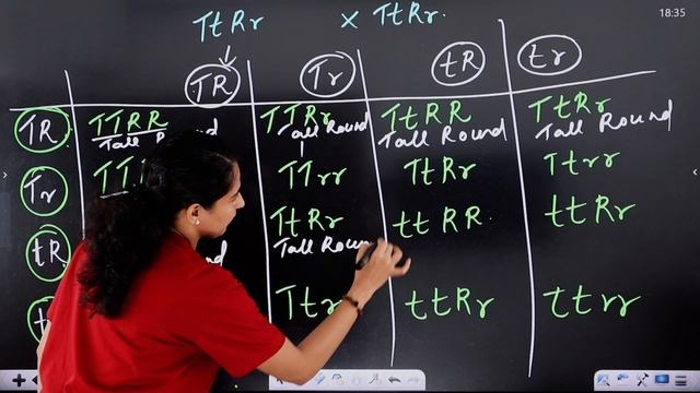 CBSE Class 10 | Term 2 Exam | Biology | Law of Independent Assortment | Exam Winner смотреть онлайн