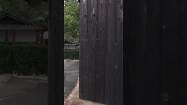 Утренняя прогулка по городку Клифсайд Харбор перед поездкой на пароме. Шодошима, Япония. 4К