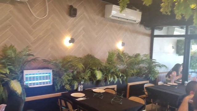 Ресторан Аани (любимчик) возле Кармиэль. Красивый мясной и рыбный ресторан. смотреть онлайн