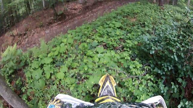 Карпати.Підйом на полонину Прилук. смотреть онлайн