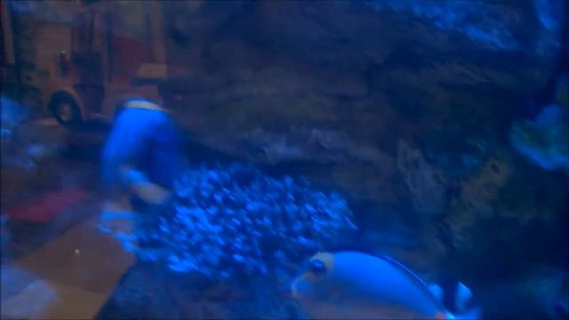 Рыбки смотреть онлайн