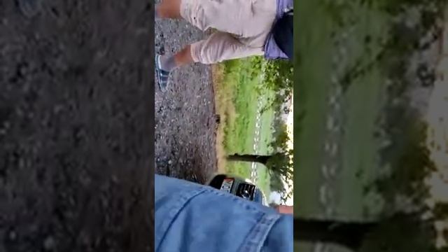 не законе гаишники Ташкомур смотреть онлайн