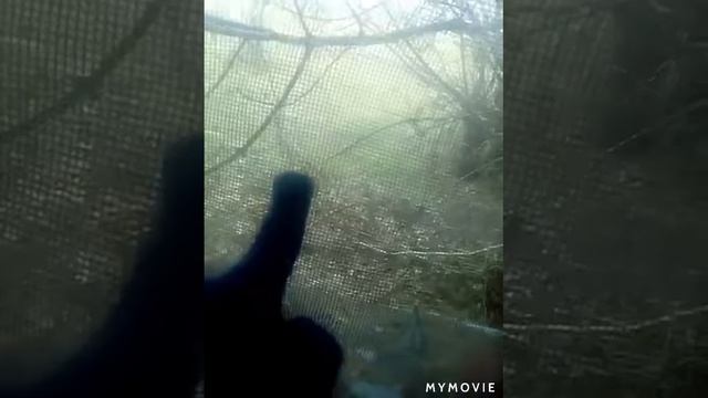 Заброшенная столовая.