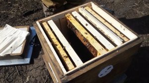 23 апреля 2025 г. Проект МФУ против лежака.