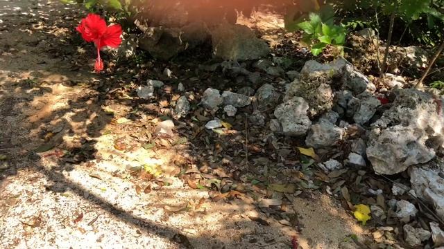 Канкун 2018 смотреть онлайн