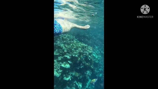 Amwaj Oyoun Resort Sharm El Sheikh Єгипет 2021 смотреть онлайн